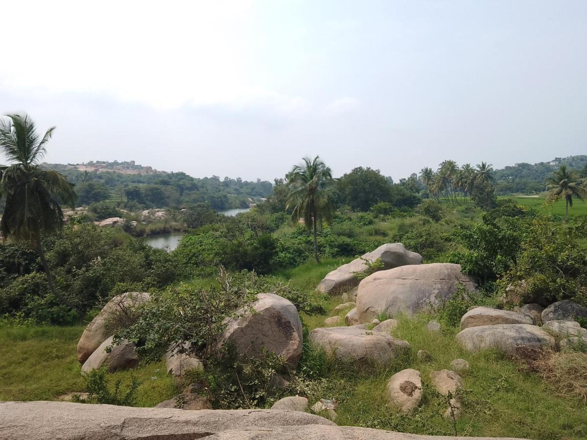 Monkey Paradise Hampi Bagian luar foto