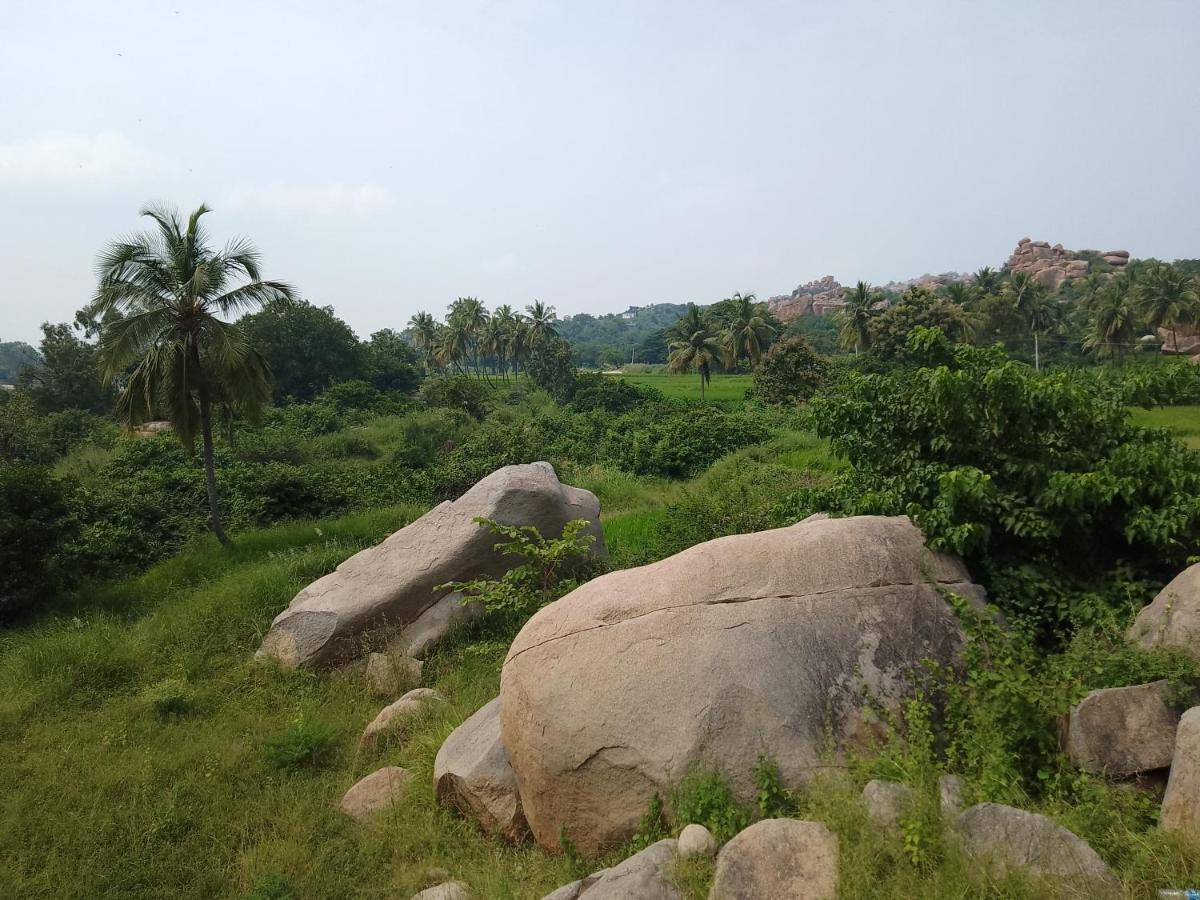 Monkey Paradise Hampi Bagian luar foto