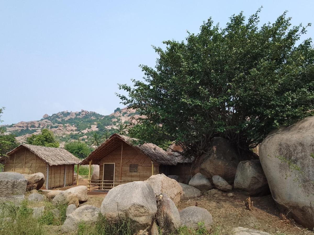 Monkey Paradise Hampi Bagian luar foto
