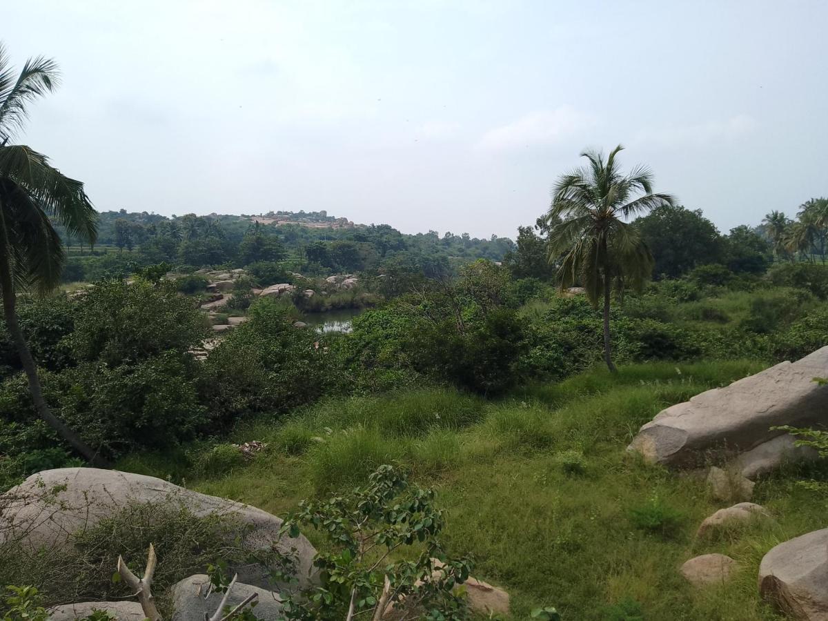 Monkey Paradise Hampi Bagian luar foto