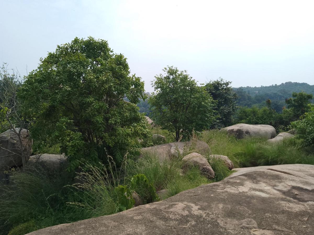 Monkey Paradise Hampi Bagian luar foto